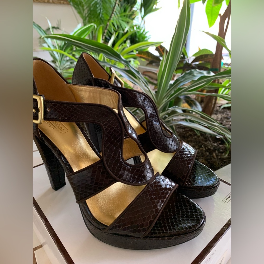 COACH IVANAH PYTHON/NUBUCK CHESTNUT BROWN SIZE 8M NEW IN BOX - Picture 3 of 16